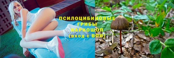 гидра Волосово