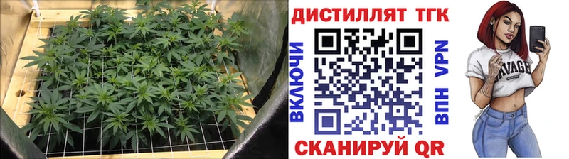 shop как зайти  блэк спрут онион  Петрозаводск  ТГК вейп с тгк 