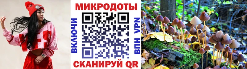 Псилоцибиновые грибы ЛСД Петрозаводск